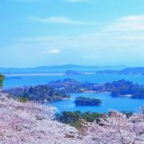 宮城県の絶景ドライブスポット：自然と文化が交差する4選