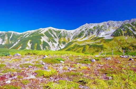 富山県のおすすめドライブルート：【立山黒部アルペンルート】山岳と絶景を巡るドライブコース