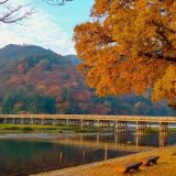 京都府のおすすめドライブルート：【嵐山・保津川エリア】歴史と自然の名所を巡るコース